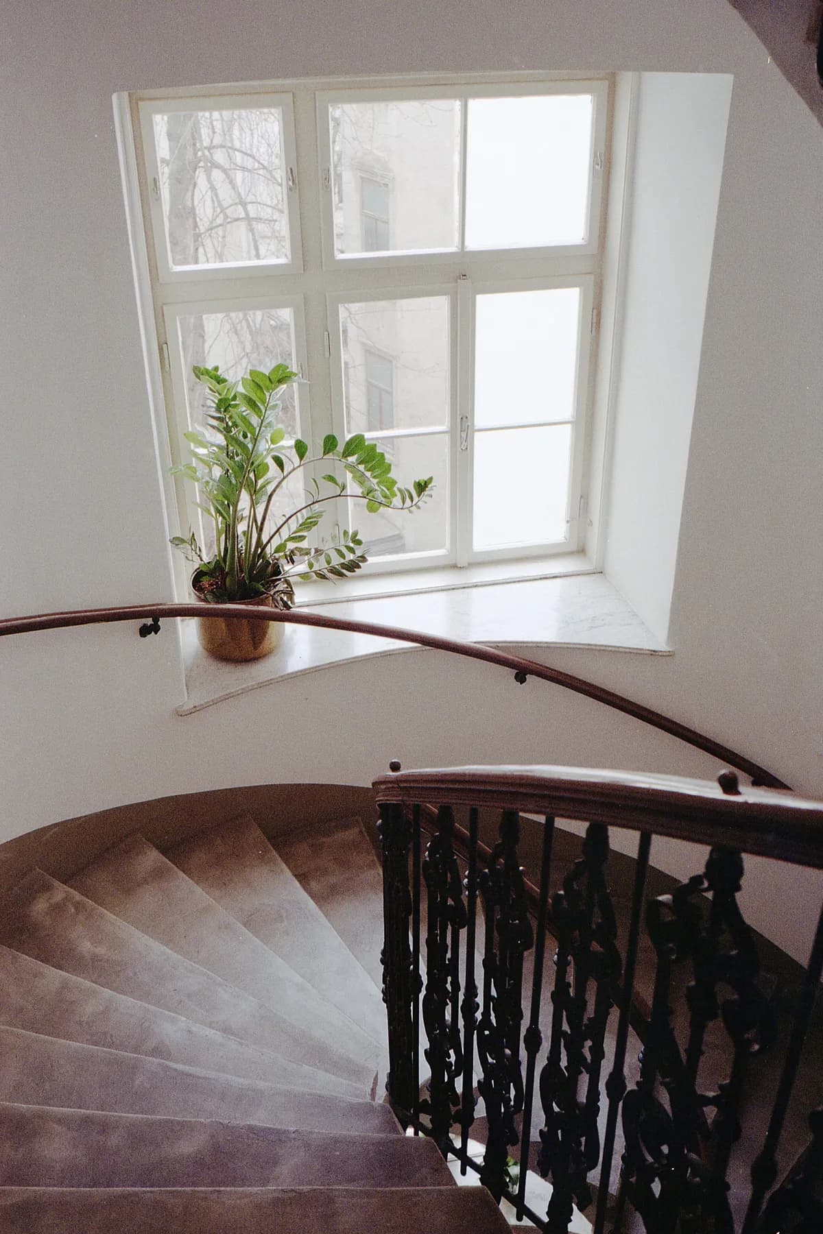 Stiegenhaus mit Wendeltreppe in einem Altbau